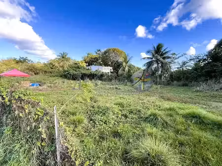 vente terrain 1526 m² à le moule (97160)  159 500 €