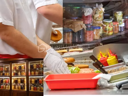 vente locaux professionnels à crozon (29160)  45 500 €