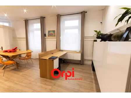 vente locaux professionnels à quatzenheim (67117)  245 000 €