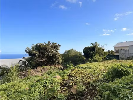 vente terrain 776 m² à le guillaume (97423)  290 000 €