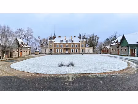 vente château 28 pièces 947 m² à dompierre-sur-besbre (03290)  1 190 000 €