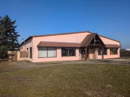 vente immeuble à richwiller (68120)  815 400 €