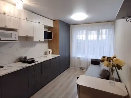 location meublée appartement 1 pièce 19 m² à lyon 5ème (69005)  502 €