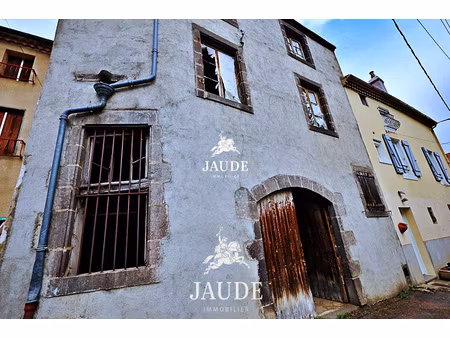 à vendre : maison à rénover à mur-sur-allier ( investisse