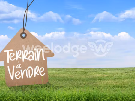 mondonville  terrain plat viabilisé de 594m2.