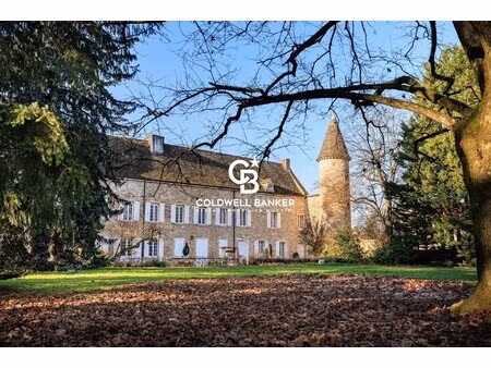 vente château 26 pièces