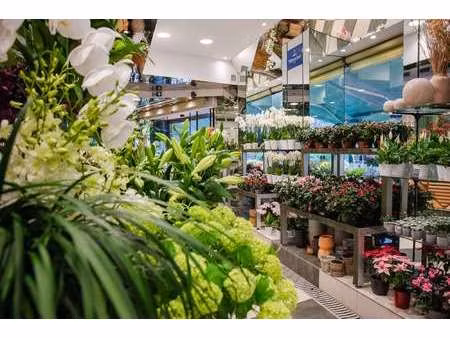 vente bureaux et commerces à saint-avé (56890) : à vendre / saint-avé