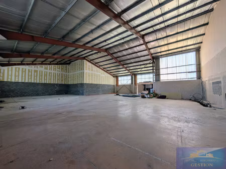 local professionnel/artisanal/entrepôt