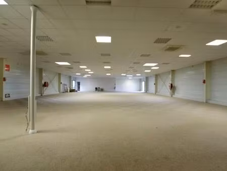 local activité 5 pièces