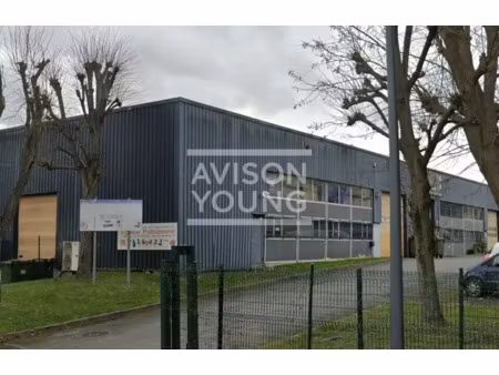 local d'activite a louer