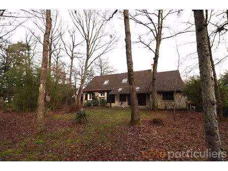 maison familiale + garage - les grands billons - donnery (45450)