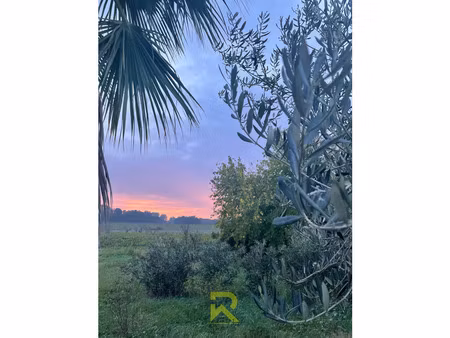 mas de qualité à fourques