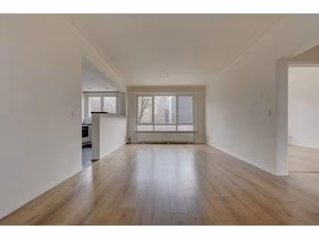 appartement te huur in borgerhout met 2 slaapkamers