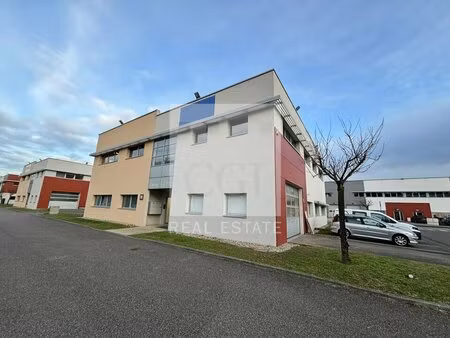 location local professionnel 166m² st priest 69800