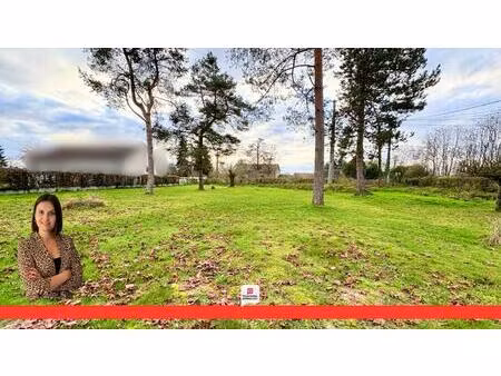 terrain mont pres chambord 951 m2