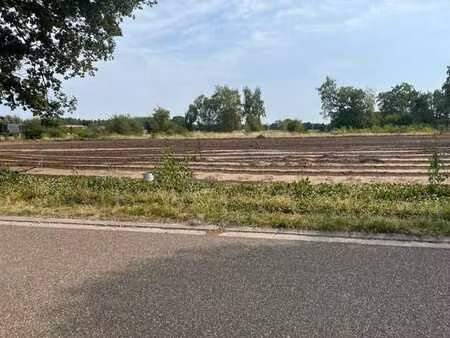 grond te koop in tessenderlo