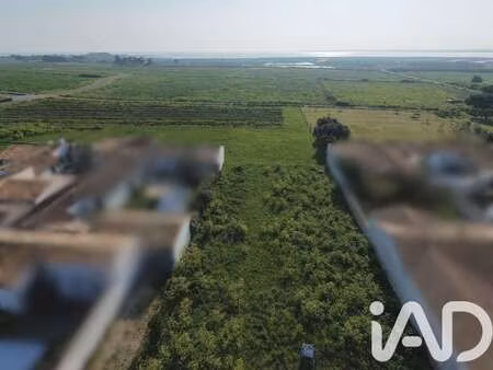 vente terrain à loix (17111) : à vendre / 914m² loix