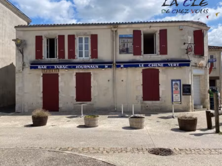 achat immeuble 335m² maille 85420