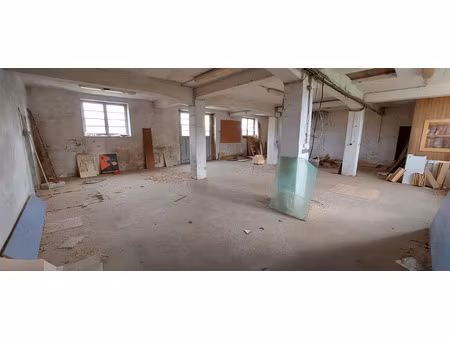 local professionnel à vendre l'hermenault 12 pièce(s) 540m2 190 000€