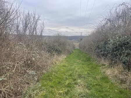 vente maison 1 pièce 930 m² château-renard (45220)