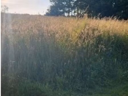 lire l'annonce - terrain