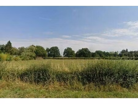 terrain constructible viabilisé à vendre