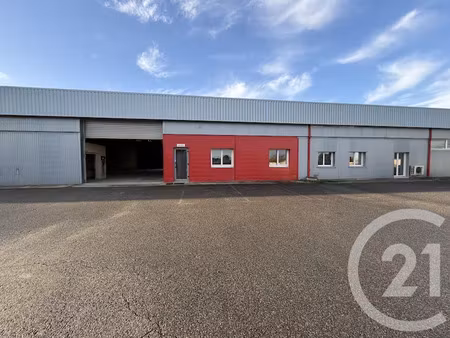 location maison 2 pièces 315 m² à l'isle-jourdain (32600)  5 584 €