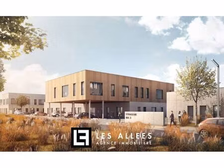 immobilière les allées