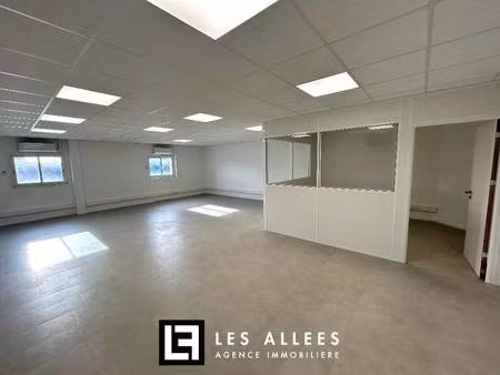 immobilière les allées