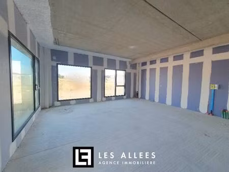 immobilière les allées