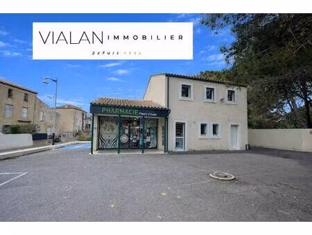 pascale vialan immobilier