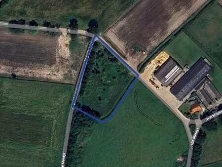 terrain à vendre à brecht € 37.000 (lioip) - immo bib | zimmo