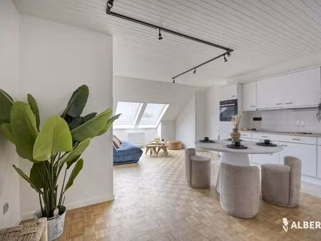 appartement à louer à denderwindeke € 750 (liorj) - albert denderwindeke | zimmo