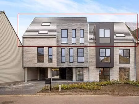 appartement à louer à oud-turnhout € 1.280 (lios9) - your real estate_5792 domestic makela