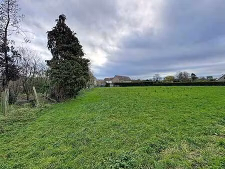 terrain à vendre à kain.