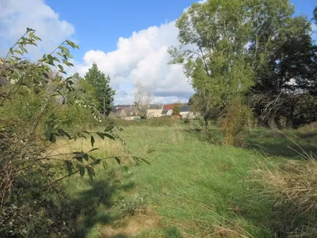 vente terrain à badecon-le-pin (36200)  18 500 €