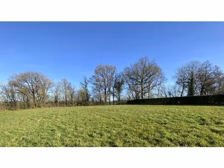 secteur gramat  terrain constructible avec bois bel environnem