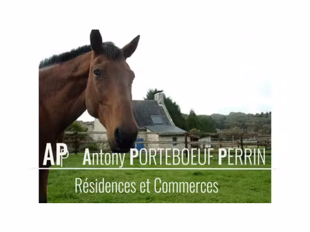 vente terrain 25150 m² à réguiny (56500)  21 000 €