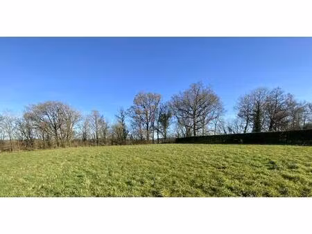 secteur gramat  terrain constructible avec bois – bel environnement