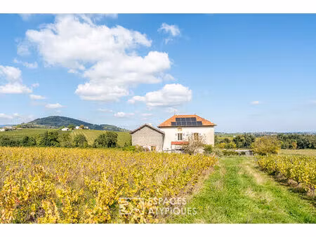 charmante maison au coeur des vignobles du beaujolais vert