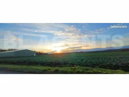 terrain 2 454 m² germigny l eveque