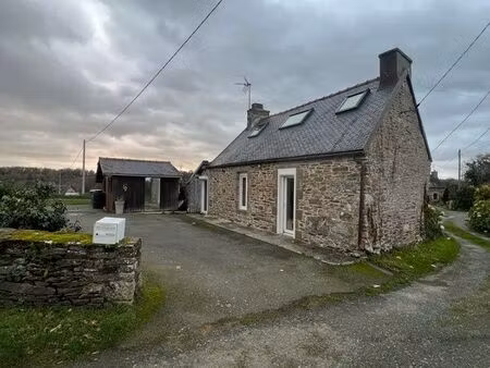 maison rénovée avec jardin