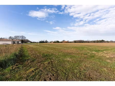 vente terrain 1703 m² à saint-martin-de-hinx (40390)  200 000 €