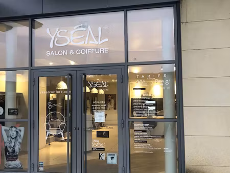 vente locaux professionnels 155 m² à sens (89100)  66 000 €