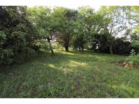 vente terrain 1277 m² à saint-georges-d'oléron (17190)  294 000 €