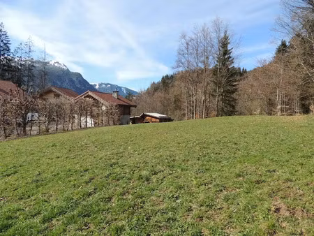 vente terrain à batir 1567 m² à saint-jean-de-sixt (74450)  415 000 €