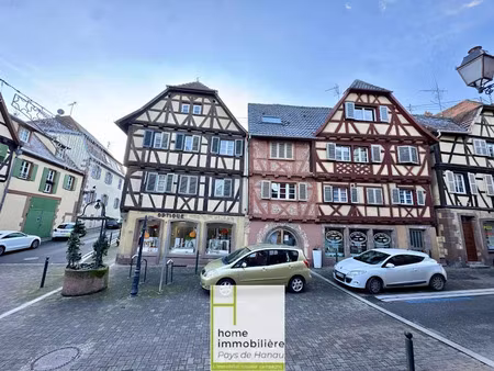 vente locaux professionnels 5 pièces 200 m² à bouxwiller (67330)  151 200 €