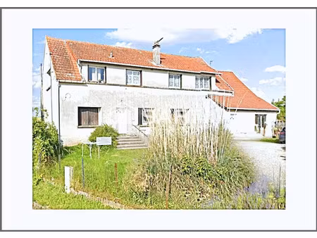 vente immeuble 220 m² à pont-sur-yonne (89140)  230 000 €