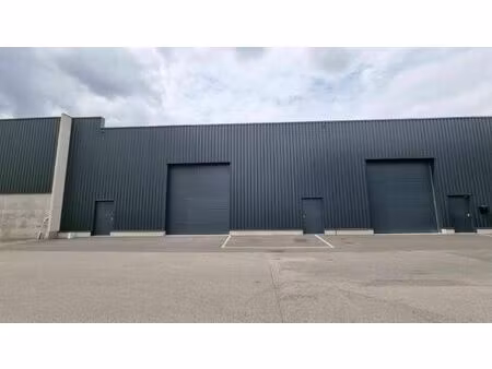 surface industrielle à louer à willebroek (rbu90338)