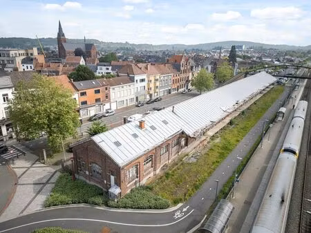 bien professionnel à vendre à renaix € 850.000 (liqah) - immo francois - oudenaarde | zimm